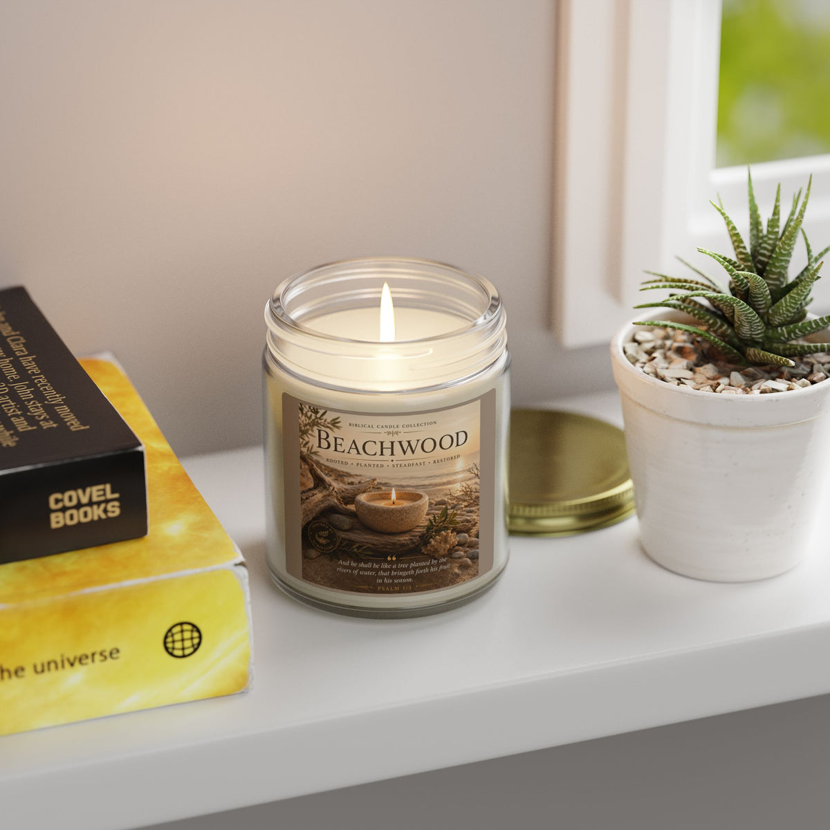 Beachwood Coconut Apricot Scented Candle (4oz, 9oz)