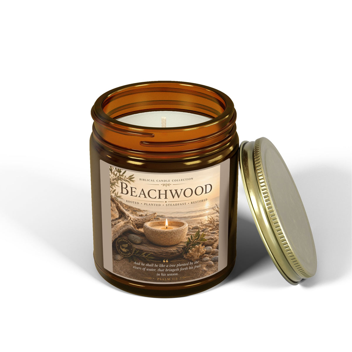 Beachwood Coconut Apricot Scented Candle (4oz, 9oz)