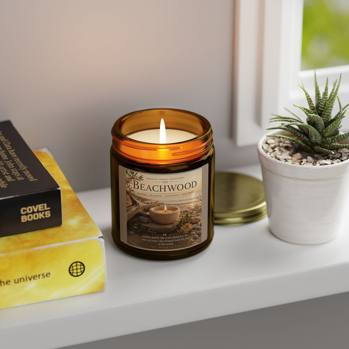 Beachwood Coconut Apricot Scented Candle (4oz, 9oz)
