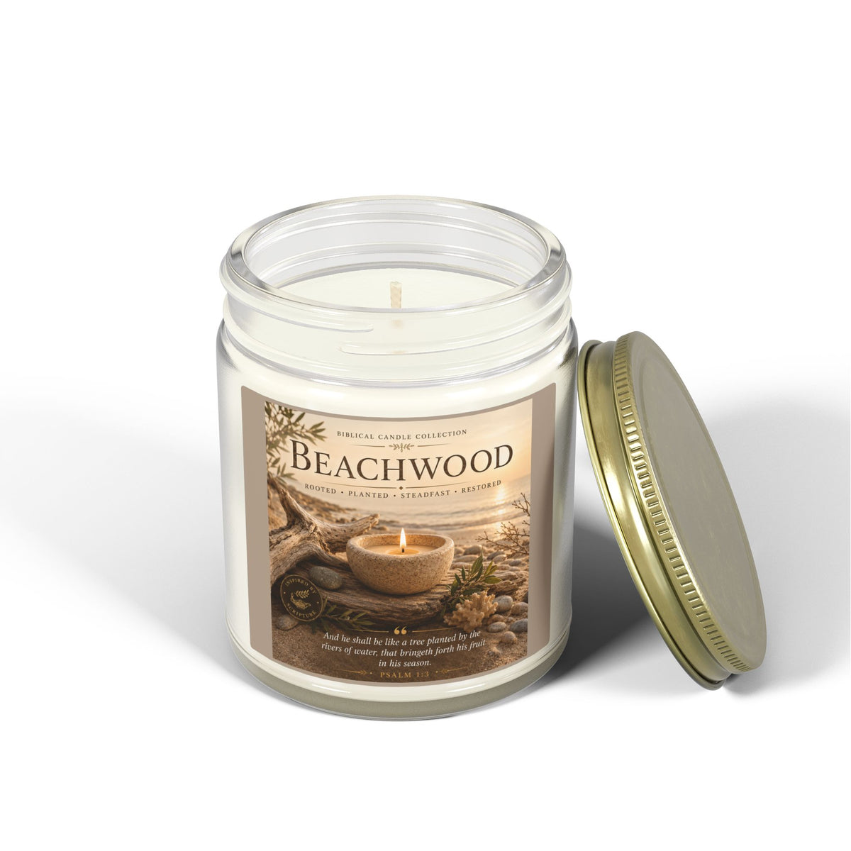 Beachwood Coconut Apricot Scented Candle (4oz, 9oz)