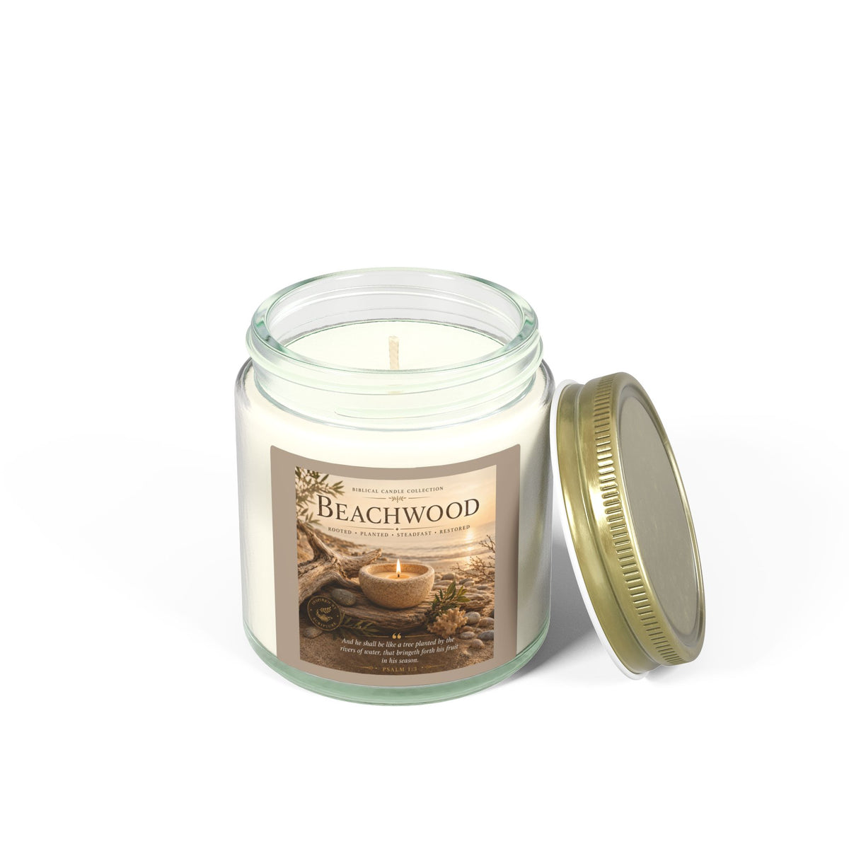 Beachwood Coconut Apricot Scented Candle (4oz, 9oz)