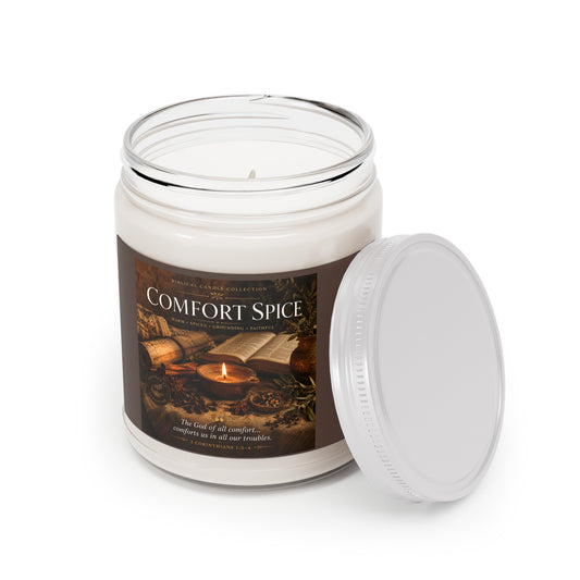 Comfort Spice Scented Soy Candle — 9oz Jar with White Lid (Warm Autumn Spice)