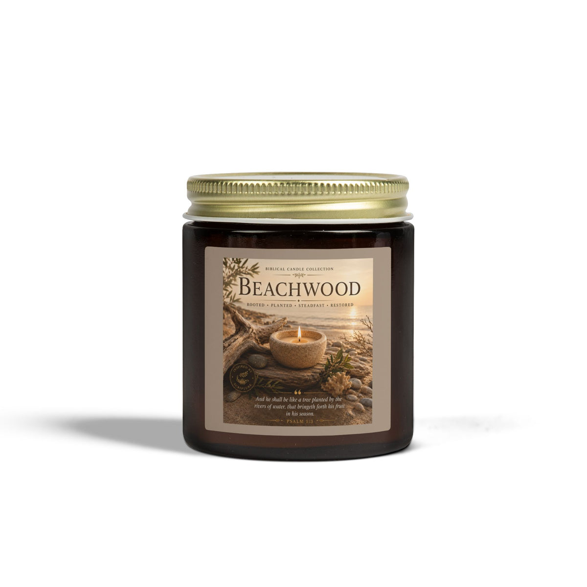 Beachwood Coconut Apricot Scented Candle (4oz, 9oz)