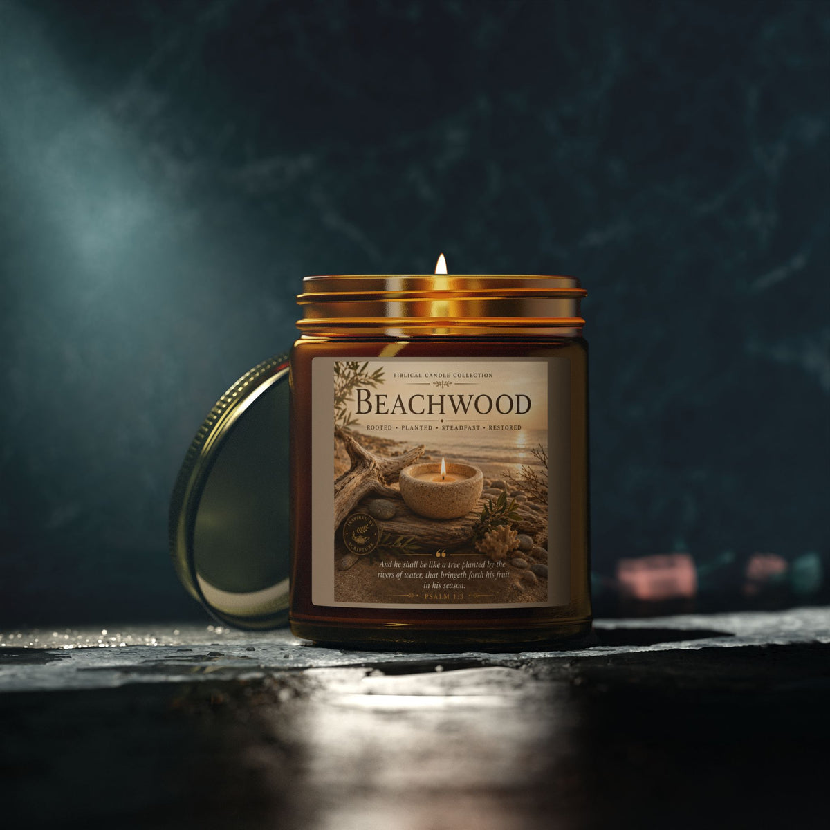 Beachwood Coconut Apricot Scented Candle (4oz, 9oz)