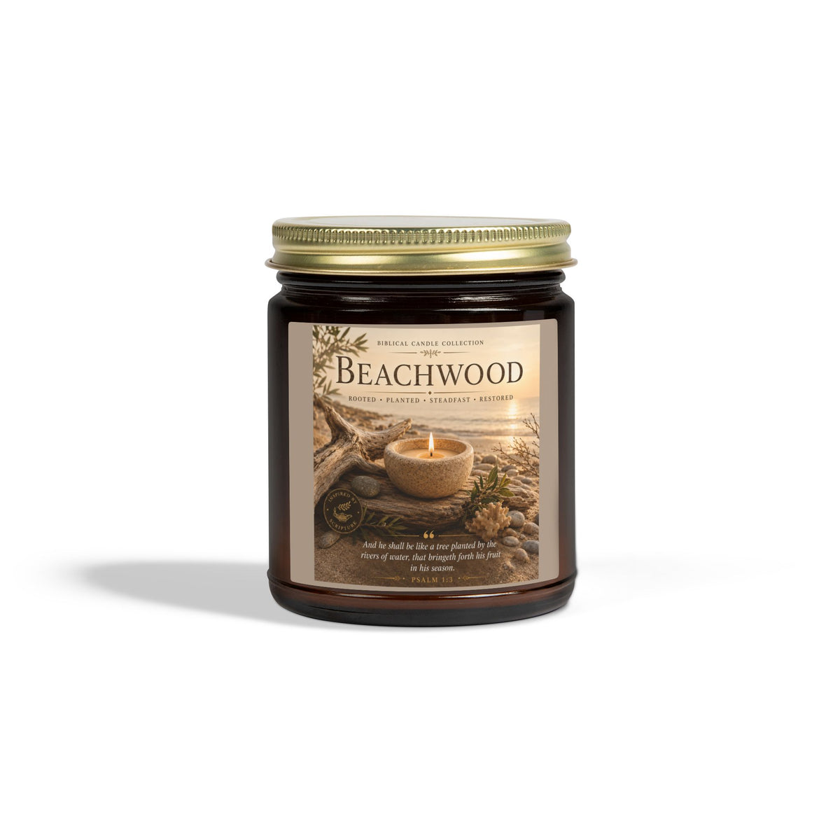 Beachwood Coconut Apricot Scented Candle (4oz, 9oz)
