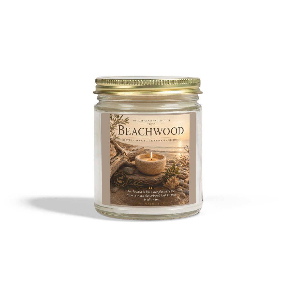 Beachwood Coconut Apricot Scented Candle (4oz, 9oz)